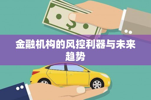 惠来金融机构的风控利器与未来趋势