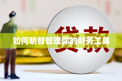 惠来如何明智管理你的财务工具