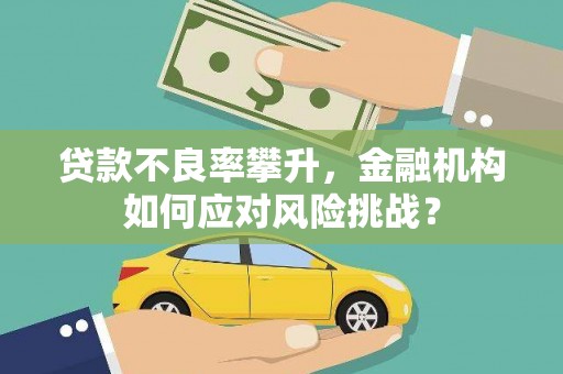 惠来贷款不良率攀升，金融机构如何应对风险挑战？