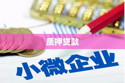 惠来质押贷款