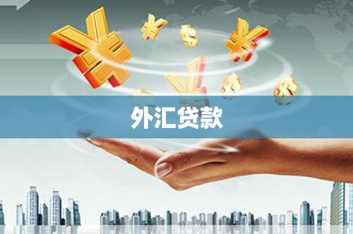 惠来外汇贷款