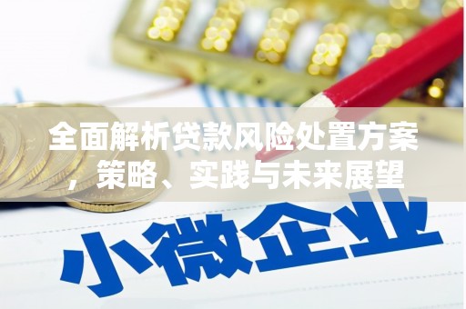 惠来全面解析贷款风险处置方案，策略、实践与未来展望
