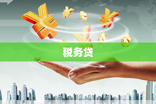 惠来税务贷