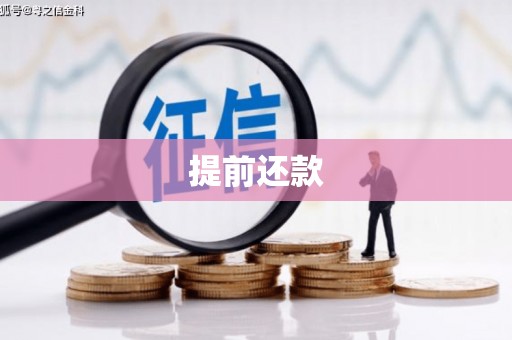 惠来提前还款