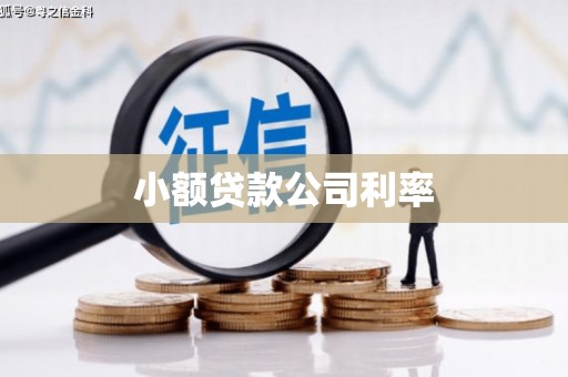 惠来小额贷款公司利率