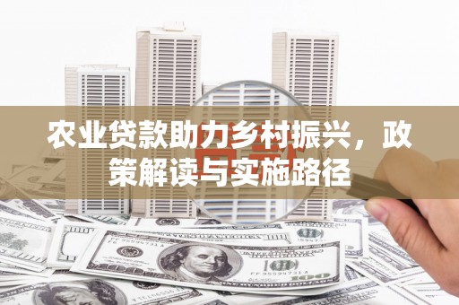 惠来农业贷款助力乡村振兴，政策解读与实施路径