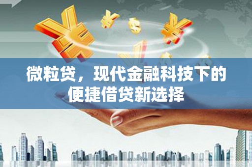惠来微粒贷，现代金融科技下的便捷借贷新选择