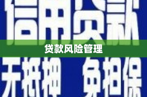 惠来贷款风险管理