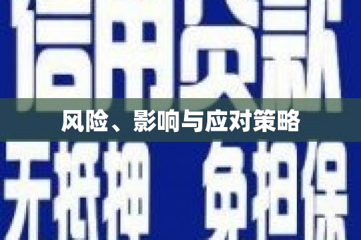 惠来风险、影响与应对策略