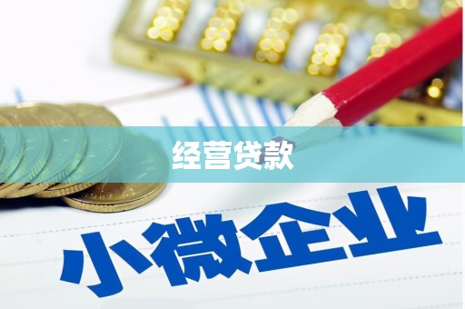 惠来经营贷款