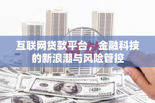 惠来互联网贷款平台，金融科技的新浪潮与风险管控