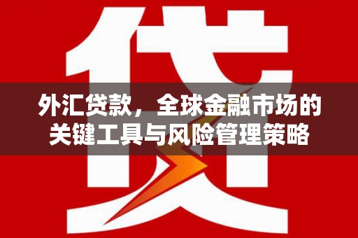 惠来外汇贷款，全球金融市场的关键工具与风险管理策略