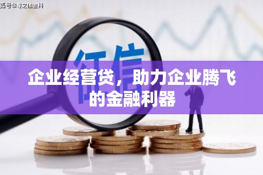 惠来企业经营贷，助力企业腾飞的金融利器