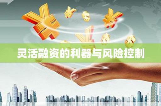 惠来灵活融资的利器与风险控制