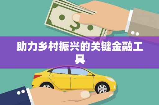 惠来助力乡村振兴的关键金融工具