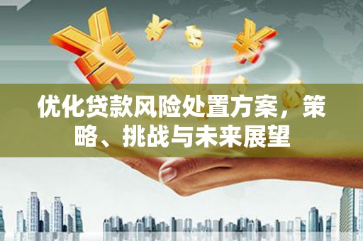 惠来优化贷款风险处置方案，策略、挑战与未来展望