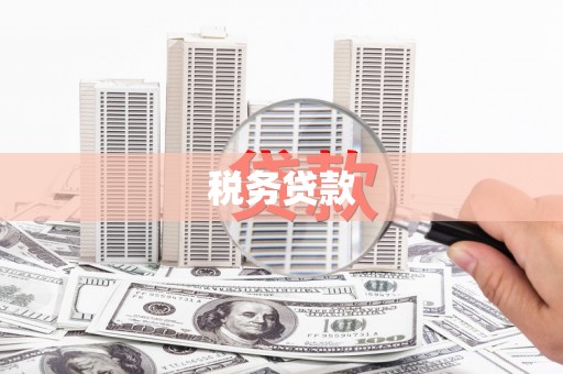 惠来税务贷款