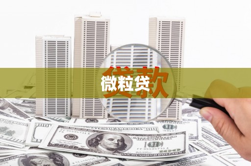 惠来微粒贷