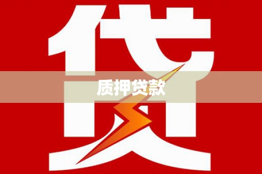 惠来质押贷款