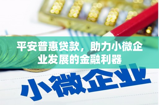 惠来平安普惠贷款，助力小微企业发展的金融利器