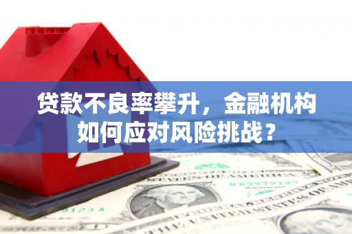 惠来贷款不良率攀升，金融机构如何应对风险挑战？