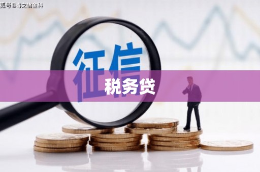 惠来税务贷
