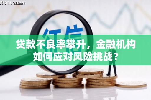 惠来贷款不良率攀升，金融机构如何应对风险挑战？