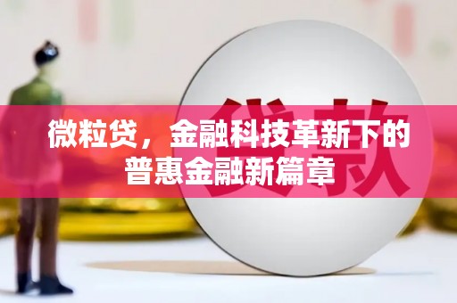 惠来微粒贷，金融科技革新下的普惠金融新篇章