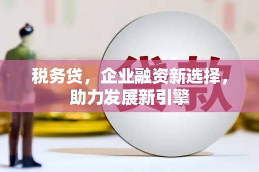 惠来税务贷，企业融资新选择，助力发展新引擎