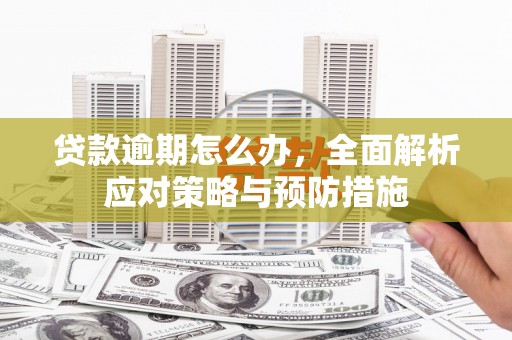 惠来贷款逾期怎么办，全面解析应对策略与预防措施