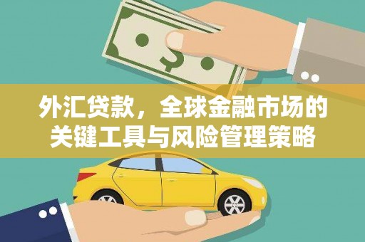 惠来外汇贷款，全球金融市场的关键工具与风险管理策略