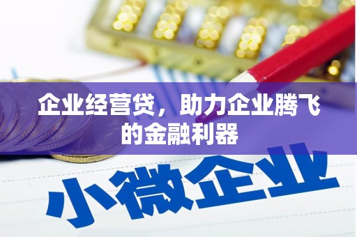 惠来企业经营贷，助力企业腾飞的金融利器