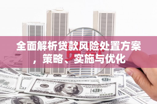 惠来全面解析贷款风险处置方案，策略、实施与优化