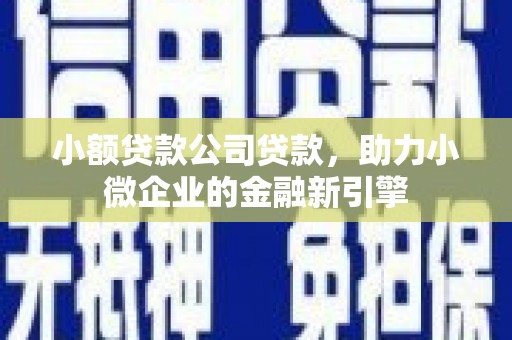 惠来小额贷款公司贷款，助力小微企业的金融新引擎