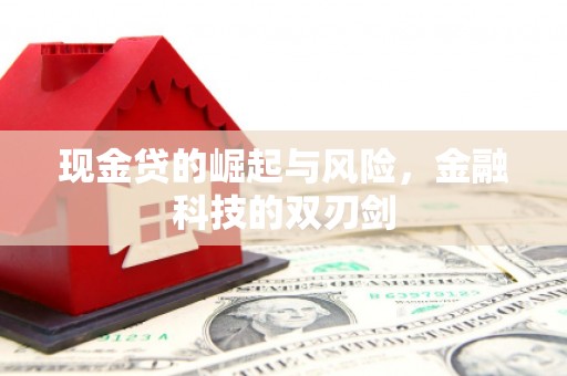 惠来现金贷的崛起与风险，金融科技的双刃剑