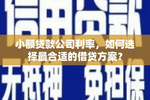 惠来小额贷款公司利率，如何选择最合适的借贷方案？