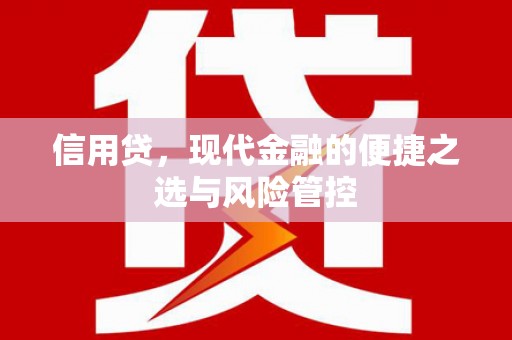 惠来信用贷，现代金融的便捷之选与风险管控