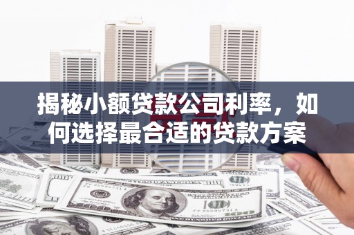 惠来揭秘小额贷款公司利率，如何选择最合适的贷款方案