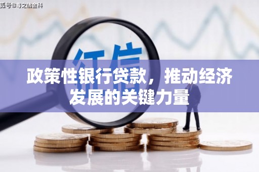 惠来政策性银行贷款，推动经济发展的关键力量