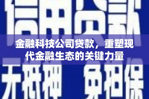 惠来金融科技公司贷款，重塑现代金融生态的关键力量