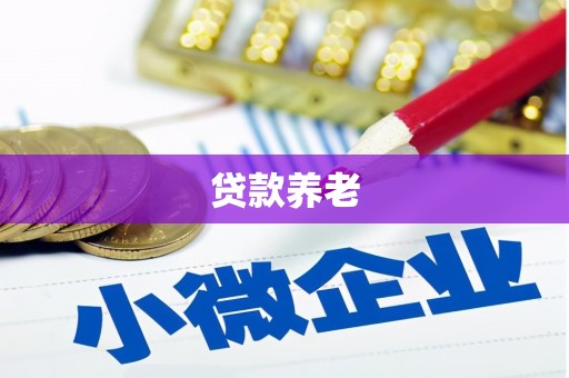 惠来贷款养老