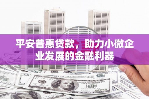 惠来平安普惠贷款，助力小微企业发展的金融利器