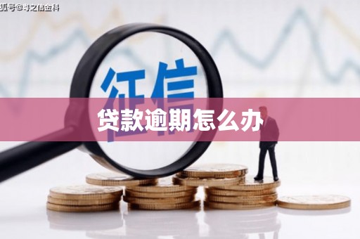 惠来贷款逾期怎么办