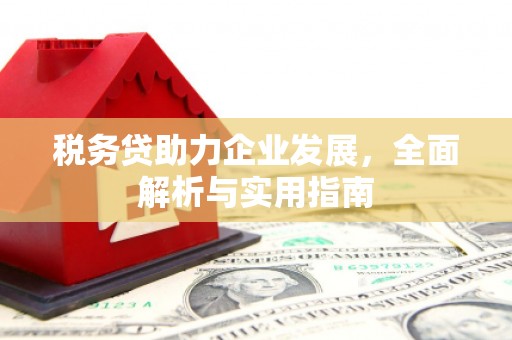 惠来税务贷助力企业发展，全面解析与实用指南