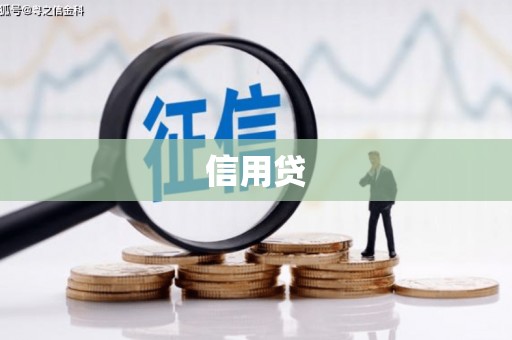 惠来信用贷