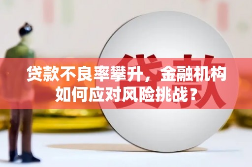 惠来贷款不良率攀升，金融机构如何应对风险挑战？