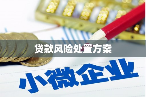 惠来贷款风险处置方案