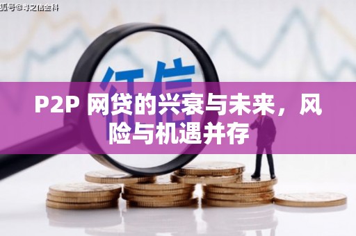 惠来P2P 网贷的兴衰与未来，风险与机遇并存