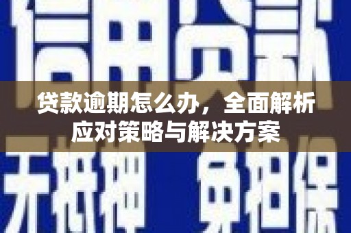 惠来贷款逾期怎么办，全面解析应对策略与解决方案