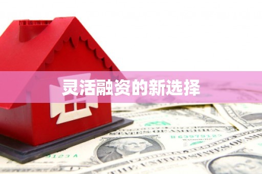 惠来灵活融资的新选择